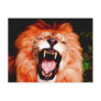 Lion Roaring Post Card