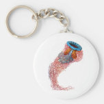 Lion’s mane jellyfish keychain