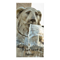Lion statue fountain