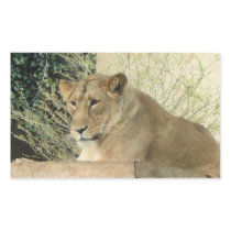 Lion Rectangular Stickers