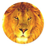Lion Round Stickers