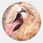 Lion Sticker