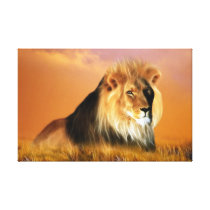 Lion Stretched Canvas Prints