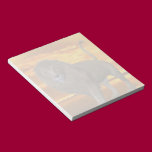 Lion Sunset notepads