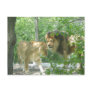 Lion Tango Postcard