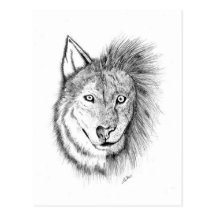Lion Wolf Postcards