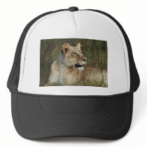 Lioness big cats safari hats & peak caps