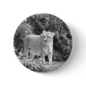 Lioness (black & white) buttons