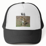 Lioness Hat