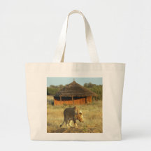 Lioness in Namibia Africa Bag