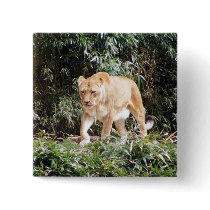 Lioness in Spring Button