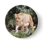 Lioness in Spring buttons