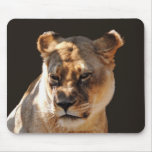 LIONESS