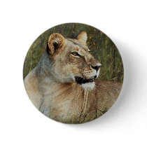 Lioness safari buttons & badges
