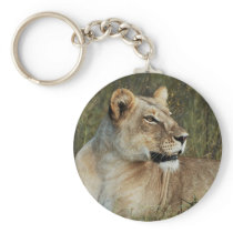 Lioness safari keychains & keyring holders