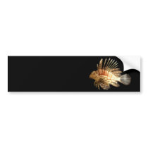 Lionfish Bumper Stickers