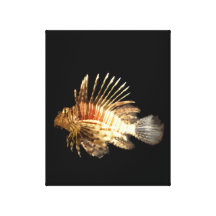 Lionfish Gallery Wrap Canvas