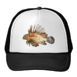 Lionfish Hat