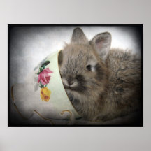 Lionhead Bunny and Teacup Print