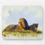 Lions at rest mouse pads