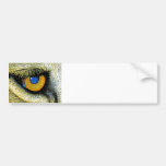 Lions Eye Close Up (2) Bumper Stickers