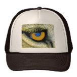 Lions Eye Close Up (2) Hat