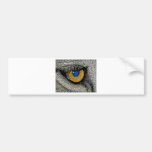 Lions Eye, Realistic Poster Bumper Sticker