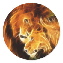 Lions in Love