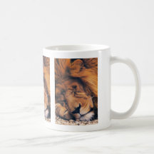 Lions in the Wild Gifts and Tees Mugs