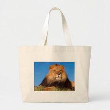 Lions in the Wild Tees, Cards and GIfts Bag