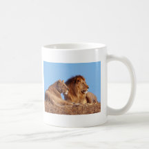 Lions in the Wild Tees, Cards and GIfts Coffee Mug