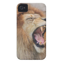 Lions iPhone 4 Case-Mate Cases