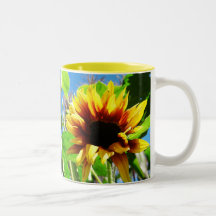 Lion's Mane Sunflower Mugs