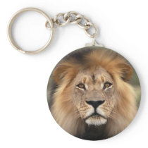 Lions Photograph Keychain