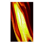 LIQUID FIRE business cards