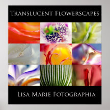 Lisa Marie Fotographia -Promo Posters