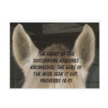 Listening Horse Ears Postcard