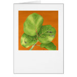 Listeningplant Card