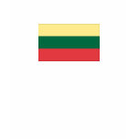Lithuanian Flag t-shirts