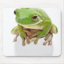 Litora Infrafrenata, Frog Mousemat