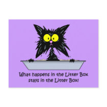 Litterbox Cat