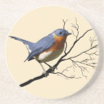 Little Bird Blue, coasters