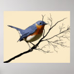 Little Bird Blue, posters