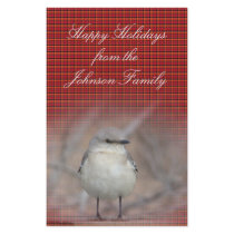 Little Bird Custom Flyer