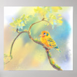 Little Bird posters