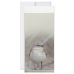 Little Bird rack cards