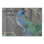 Little Bird Told Me - Customisable Card - Blue Jay