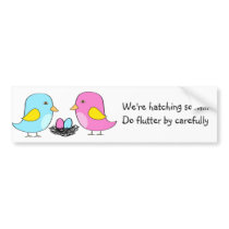 Little Birdie