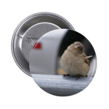 Little Birdy Button