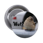 Little Birdy Button: "Wut?"